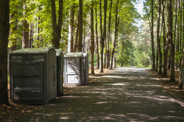 Best Affordable porta potty rental  in Somonauk, IL